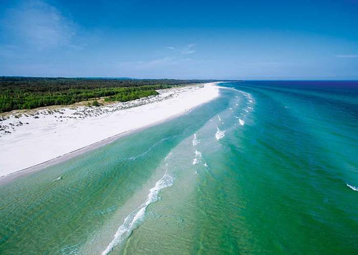 Grupperejser & Busrejser